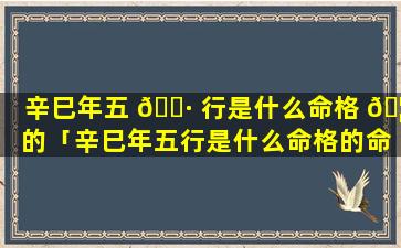 辛巳年五 🌷 行是什么命格 🦍 的「辛巳年五行是什么命格的命运」